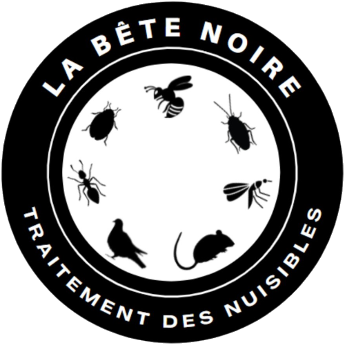 La Bête Noire